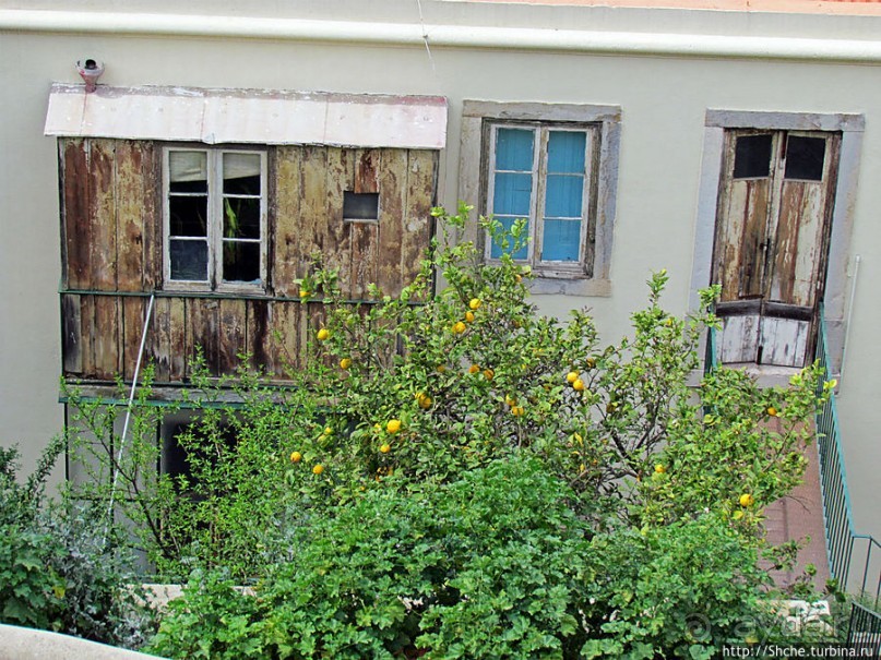 Еще взгляд на Лиссабон сверху, теперь с крепости Сан Жоржи