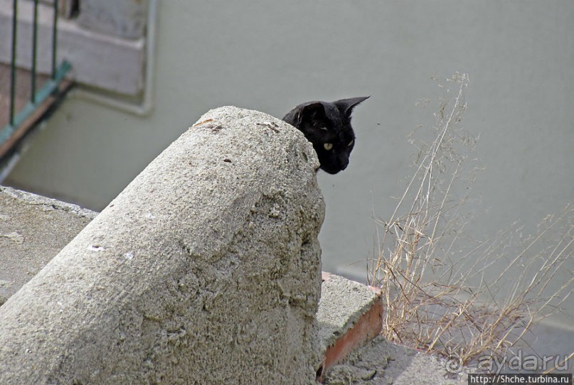 Еще взгляд на Лиссабон сверху, теперь с крепости Сан Жоржи