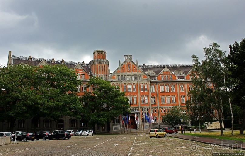 Лилль в предвкушении большого футбола