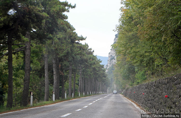Сан Марино — каменный плот в молочной реке