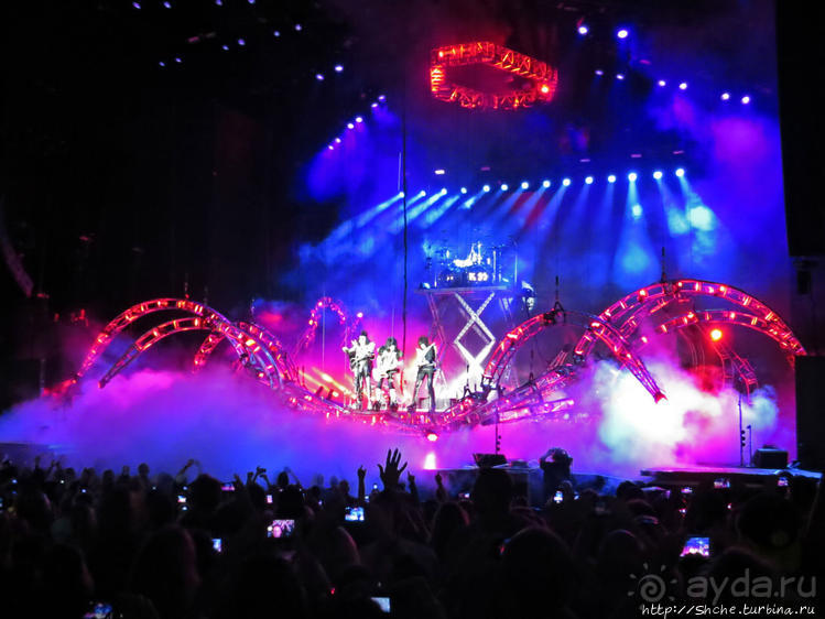 Кобра, Леопарды и ... Поцелуй