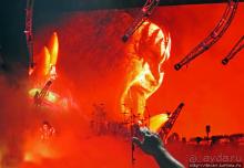 Кобра, Леопарды и ... Поцелуй