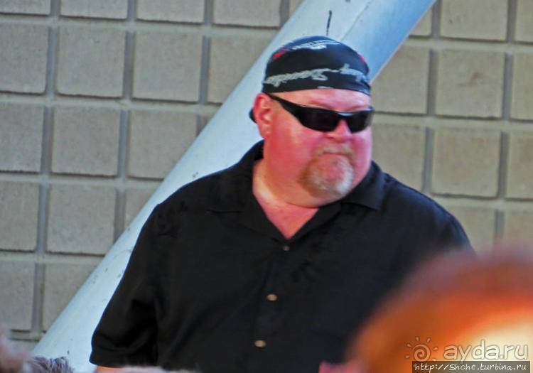 Кобра, Леопарды и ... Поцелуй