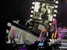 Кобра, Леопарды и ... Поцелуй