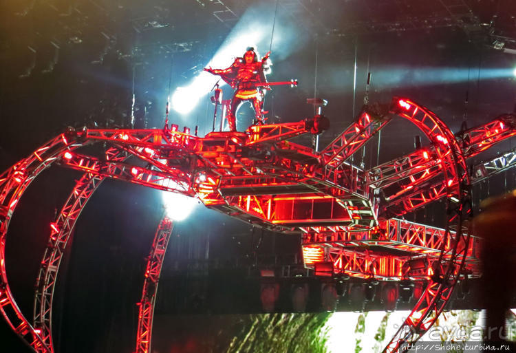 Кобра, Леопарды и ... Поцелуй