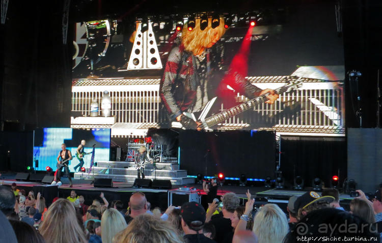 Кобра, Леопарды и ... Поцелуй