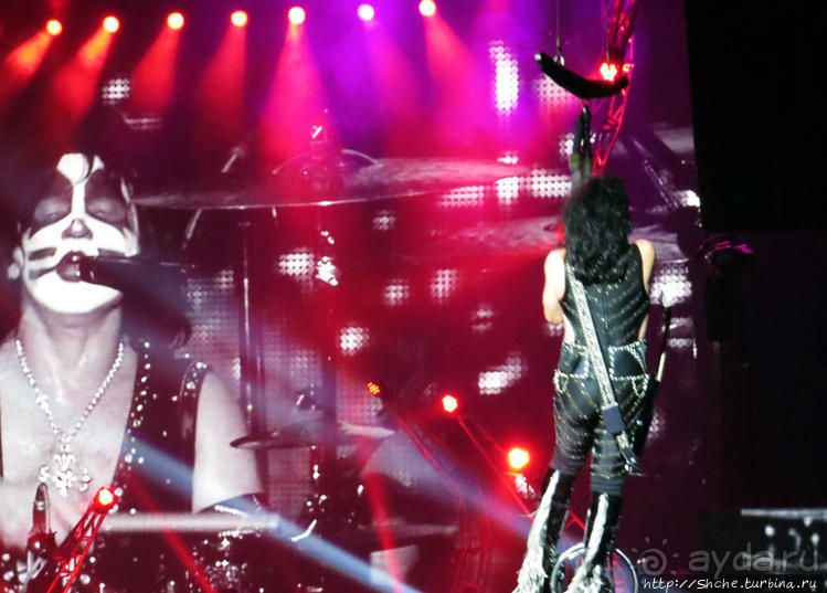 Кобра, Леопарды и ... Поцелуй