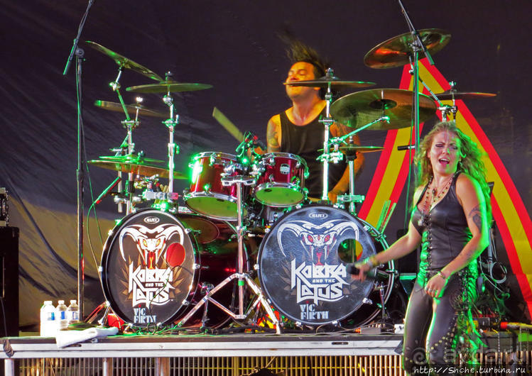 Кобра, Леопарды и ... Поцелуй