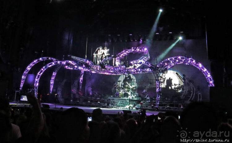 Кобра, Леопарды и ... Поцелуй