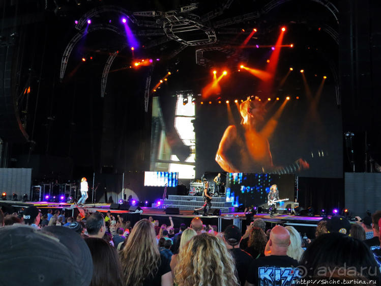 Кобра, Леопарды и ... Поцелуй