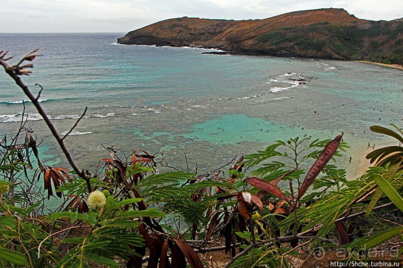 Hanauma Bay — лучший пляж для снуклинга на Оаху
