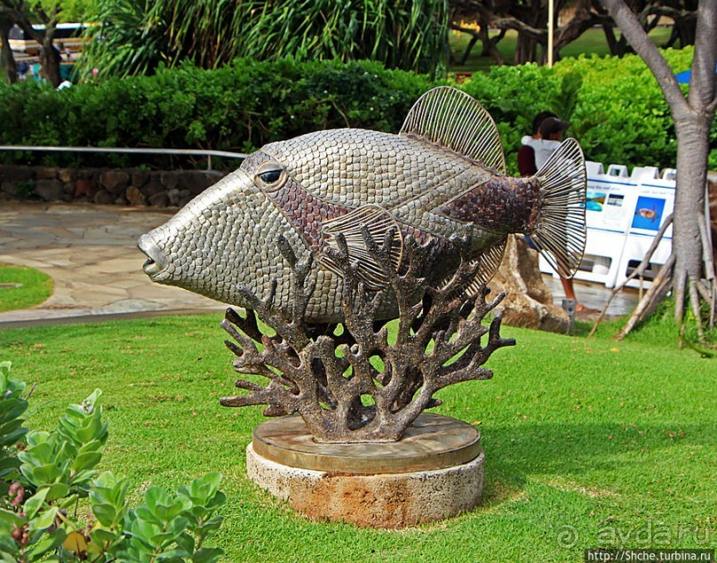 Hanauma Bay — лучший пляж для снуклинга на Оаху
