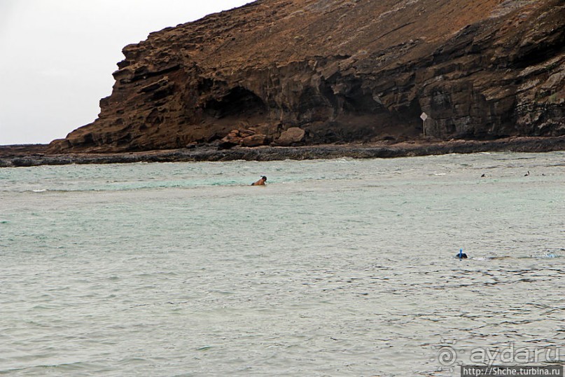 Hanauma Bay — лучший пляж для снуклинга на Оаху