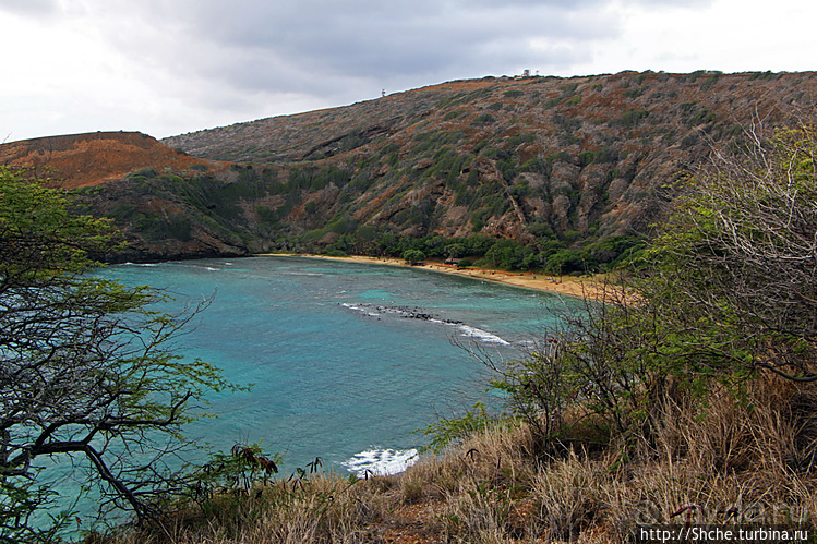 Hanauma Bay — лучший пляж для снуклинга на Оаху