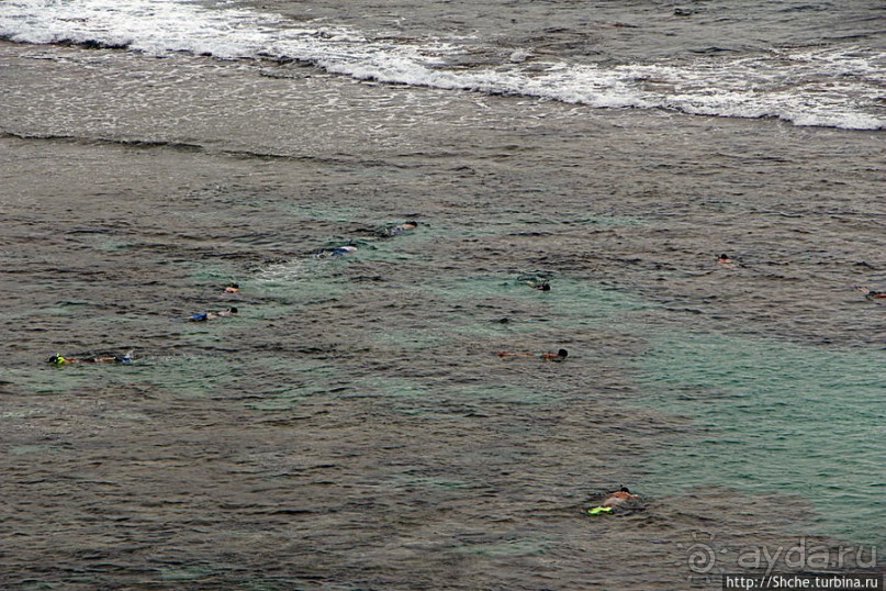 Hanauma Bay — лучший пляж для снуклинга на Оаху