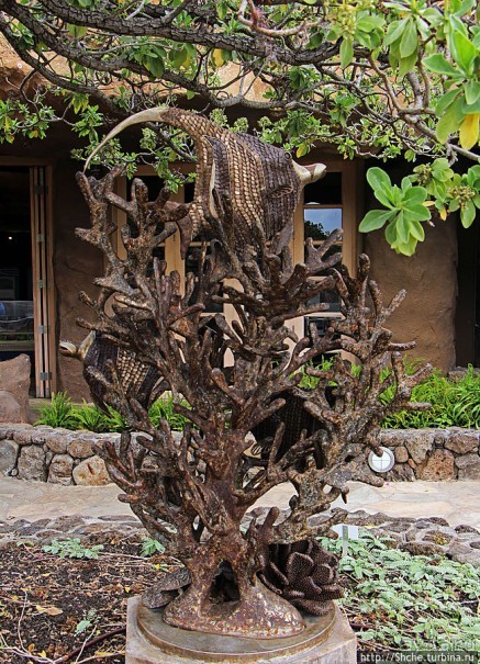 Hanauma Bay — лучший пляж для снуклинга на Оаху
