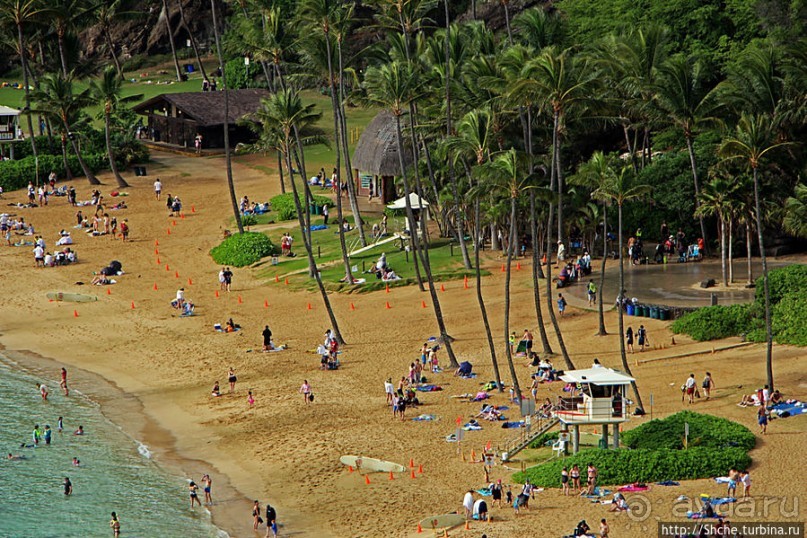 Hanauma Bay — лучший пляж для снуклинга на Оаху