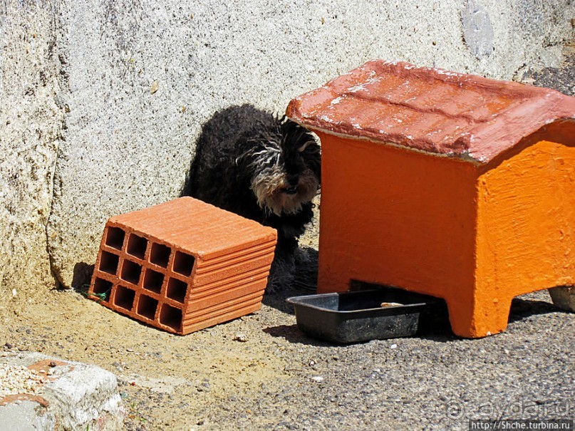 Исторический центр Мафры — почти средневековье в начале 21в