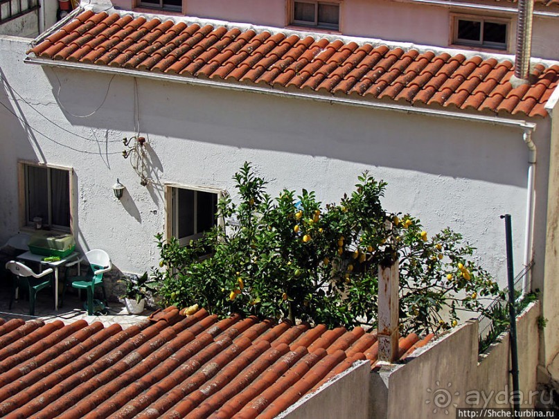 Исторический центр Мафры — почти средневековье в начале 21в