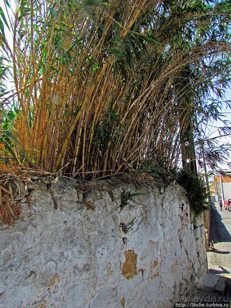 Исторический центр Мафры — почти средневековье в начале 21в