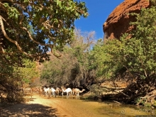 Чад, места туристического притяжения. Горное плато Эннеди