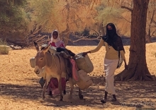 Чад, места туристического притяжения. Горное плато Эннеди