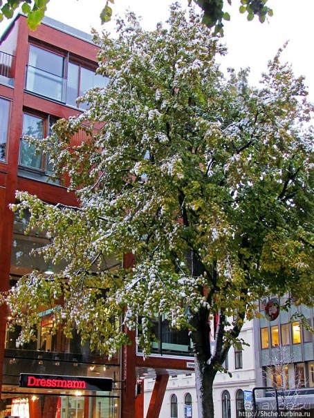 Тронхейм. Зимние зарисовки исторического центра