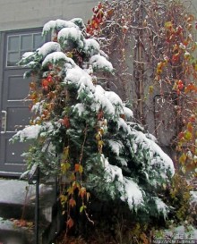 Тронхейм. Зимние зарисовки исторического центра