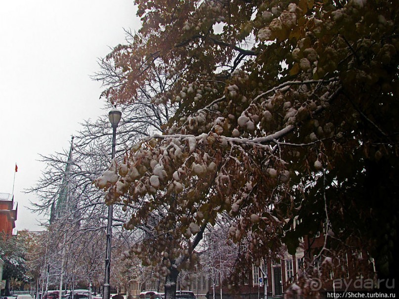 Тронхейм. Зимние зарисовки исторического центра