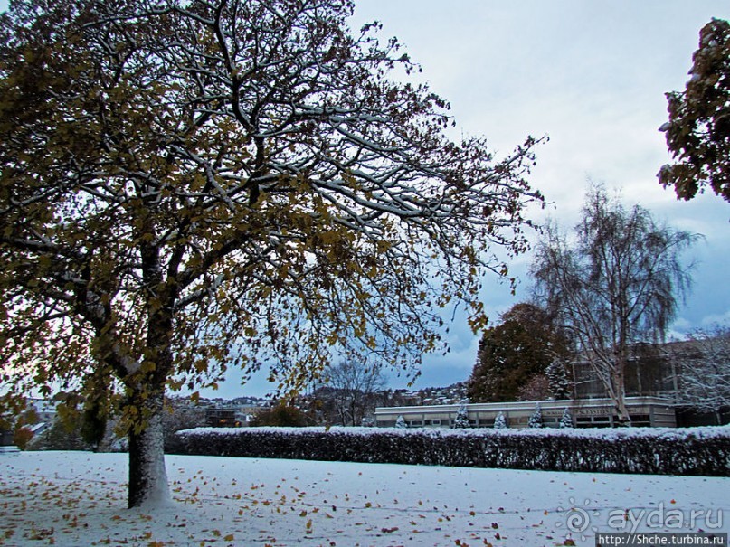 Тронхейм. Зимние зарисовки исторического центра
