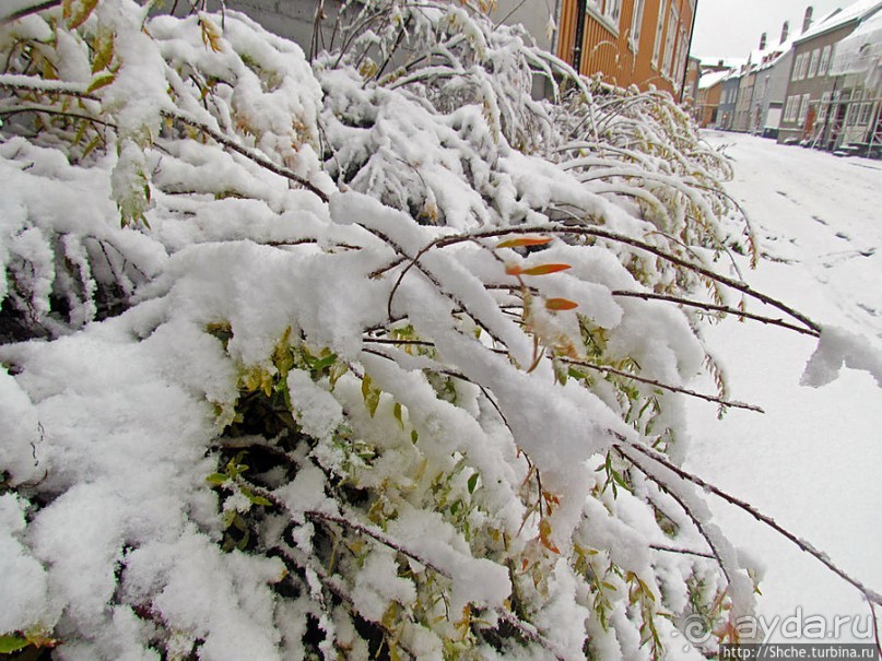 Тронхейм. Зимние зарисовки исторического центра