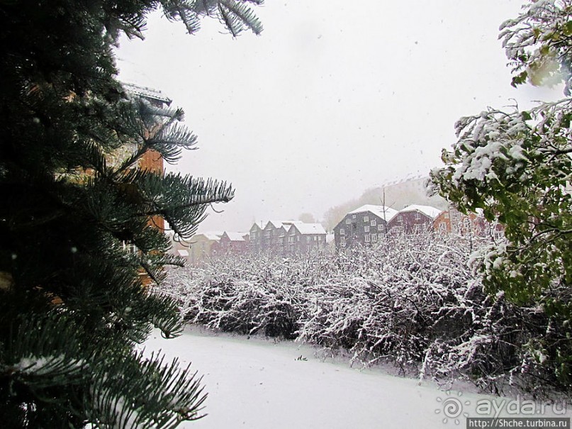 Тронхейм. Зимние зарисовки исторического центра