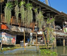 По каналам тайской Венеции — плавучая деревня-рынок