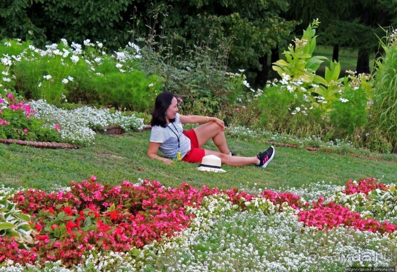 Альбом истории "Церковь Вознесения в Коломенском (объект ЮНЕСКО №634)"