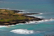 Каменистый скалистый ЮБО — южный берег Оаху