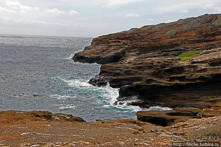 Каменистый скалистый ЮБО — южный берег Оаху