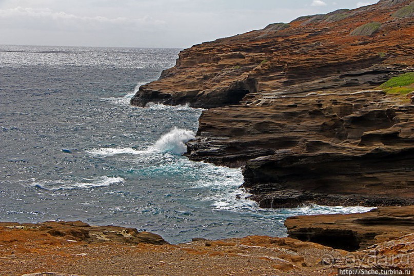 Каменистый скалистый ЮБО — южный берег Оаху