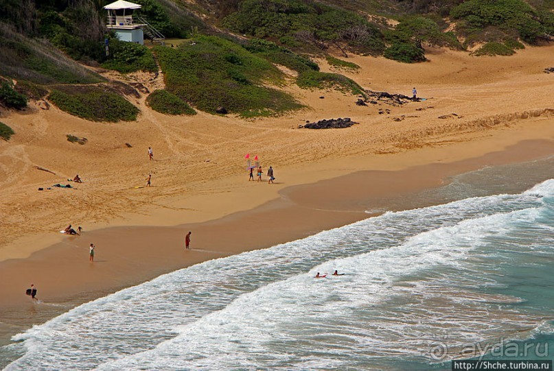 Каменистый скалистый ЮБО — южный берег Оаху