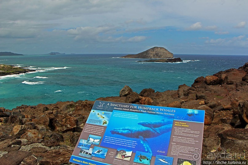 Каменистый скалистый ЮБО — южный берег Оаху