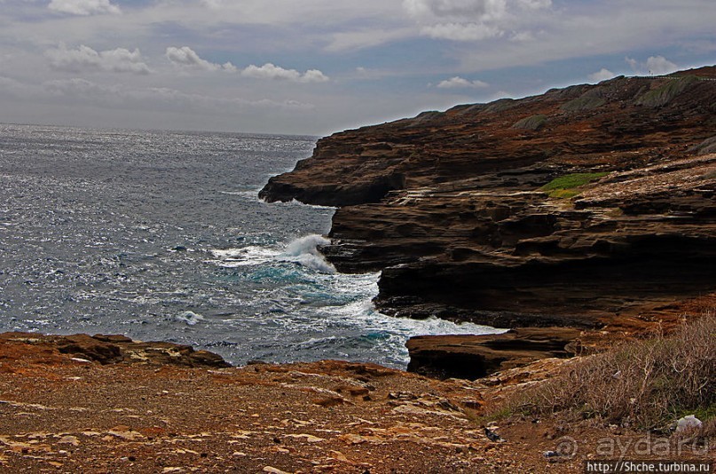 Каменистый скалистый ЮБО — южный берег Оаху