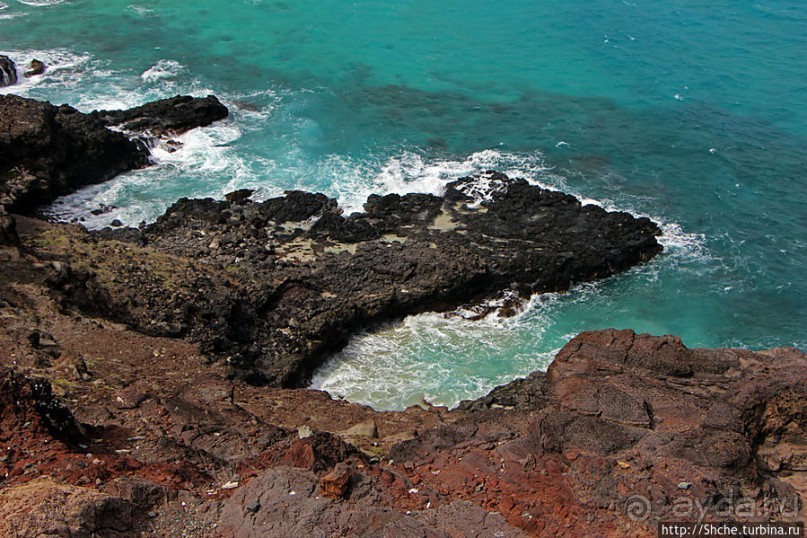 Каменистый скалистый ЮБО — южный берег Оаху
