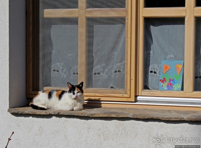 Фестиваль в историческом селе Холлокё (объект Юнеско № 401)