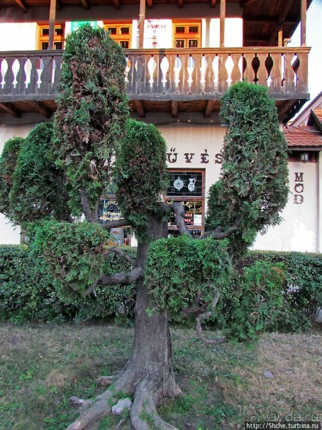 Альбом отзыва "Венгерский модерн в глубинах Румынии. Тыргу-Секуйеск"