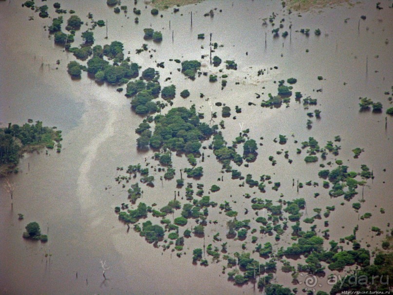Под крылом самолета... Дельта реки Ориноко