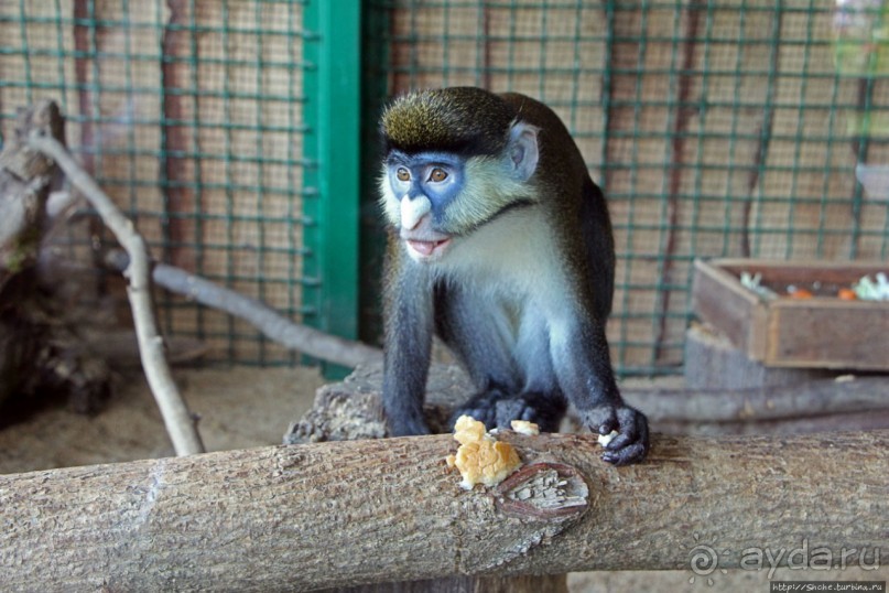 Восторг детей на радость взрослых