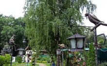 Восторг детей на радость взрослых