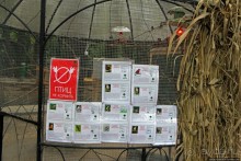 Восторг детей на радость взрослых