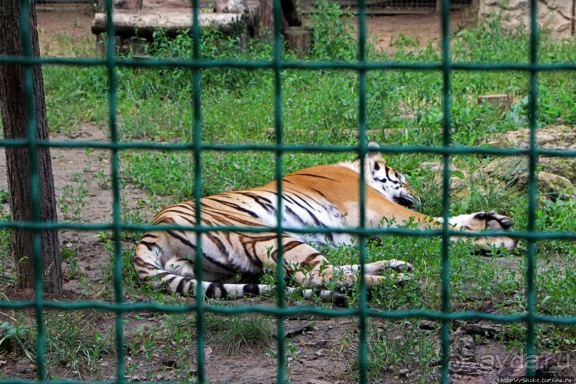 Восторг детей на радость взрослых