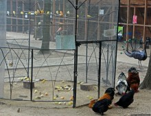 Восторг детей на радость взрослых