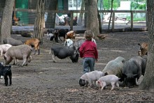 Восторг детей на радость взрослых